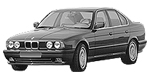 BMW E34 P1D95 Fault Code